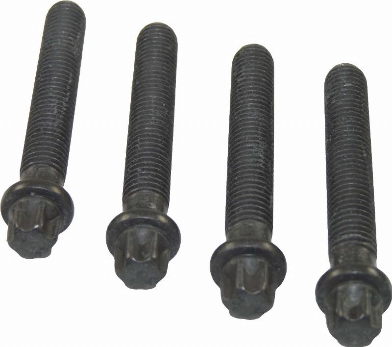 Wilmink Group WG1234542 - Комплект болтів, ремінний шків - колінчастий вал autocars.com.ua