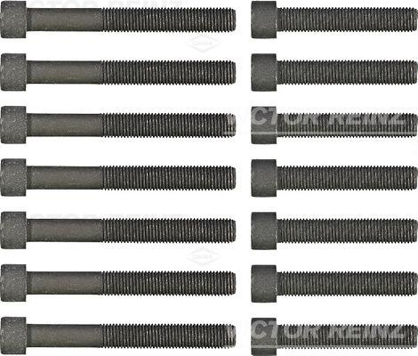 Wilmink Group WG1242875 - Комплект болтів головки циліндрів autocars.com.ua