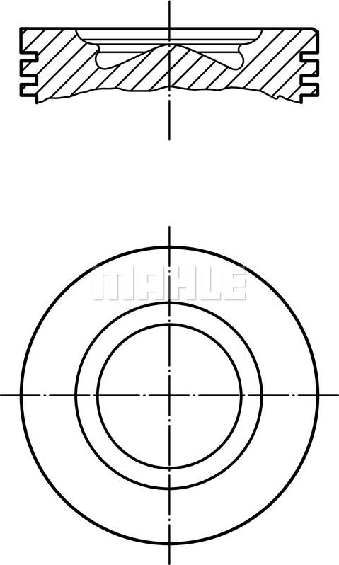 Wilmink Group WG1256450 - Поршень autocars.com.ua