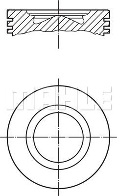 Wilmink Group WG1257061 - Поршень autodnr.net