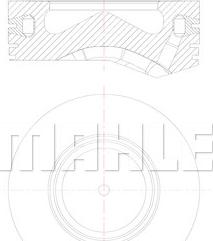 Wilmink Group WG1309224 - Поршень autodnr.net