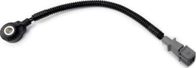 Wilmink Group WG1408542 - Датчик детонації autocars.com.ua