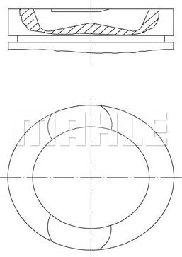 Wilmink Group WG1424020 - Поршень autodnr.net