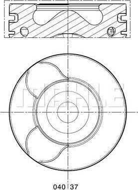 Wilmink Group WG1424243 - Поршень autodnr.net