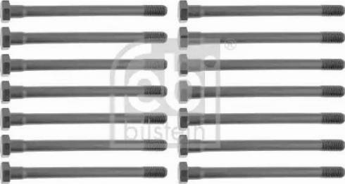 Wilmink Group WG1435324 - Комплект болтів головки циліндрів autocars.com.ua