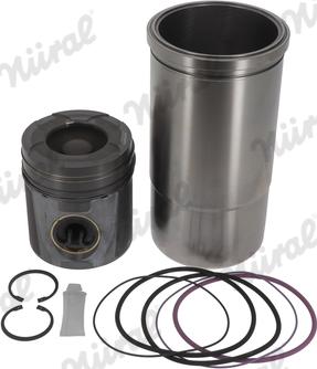 Wilmink Group WG1443806 - Ремонтний комплект, поршень / гільза циліндра autocars.com.ua