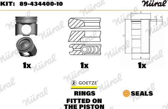 Wilmink Group WG1443819 - Ремонтний комплект, поршень / гільза циліндра autocars.com.ua