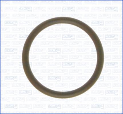 Wilmink Group WG1451695 - Прокладка, впускний колектор autocars.com.ua