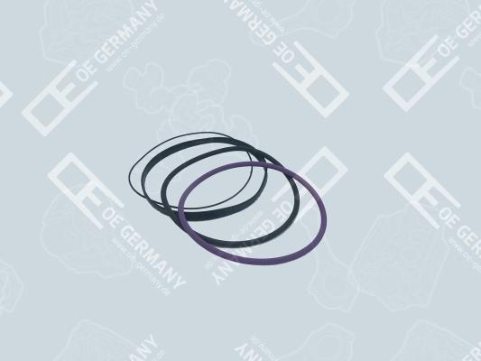 Wilmink Group WG1485294 - Комплект прокладок, гільза циліндра autocars.com.ua