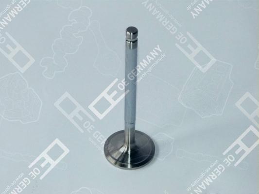 Wilmink Group WG1485695 - Впускний клапан autocars.com.ua