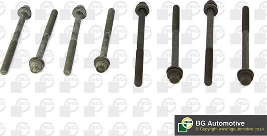 Wilmink Group WG1489952 - Комплект болтів головки циліндрів autocars.com.ua