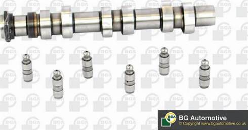 Wilmink Group WG1490604 - Комплект распредвала autocars.com.ua