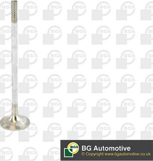 Wilmink Group WG1491047 - Випускний клапан autocars.com.ua