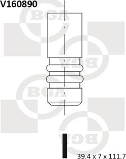 Wilmink Group WG1491250 - Впускний клапан autocars.com.ua