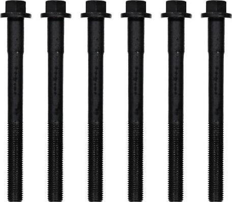 Wilmink Group WG1706999 - Комплект болтів головки циліндрів autocars.com.ua