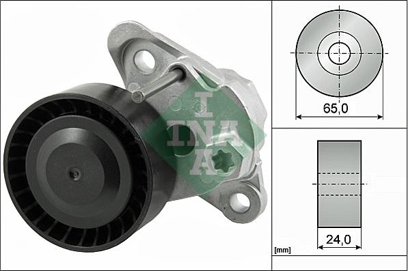 Wilmink Group WG1710174 - Натяжитель, поликлиновый ремень autodnr.net