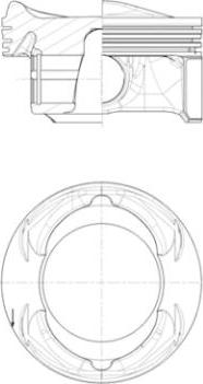 Wilmink Group WG1726193 - Поршень autocars.com.ua