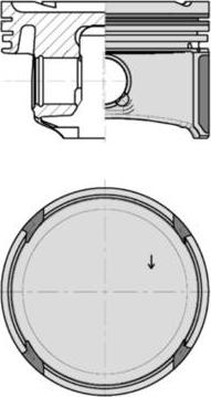 Wilmink Group WG1726235 - Поршень autodnr.net