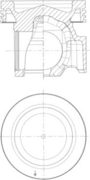 Wilmink Group WG1726236 - Поршень autocars.com.ua