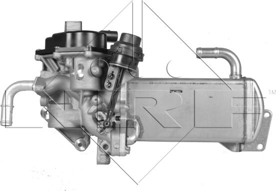 Wilmink Group WG1734560 - Клапан повернення ОГ autocars.com.ua