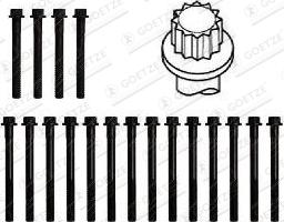 Wilmink Group WG1736581 - Комплект болтів головки циліндрів autocars.com.ua