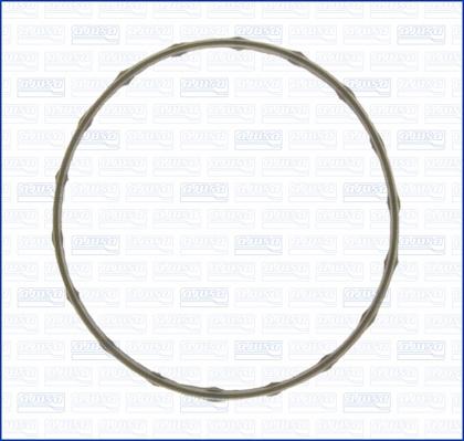 Wilmink Group WG1751348 - Прокладка, термостат autocars.com.ua