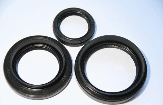 Wilmink Group WG1755151 - Комплект прокладок, диференціал autocars.com.ua