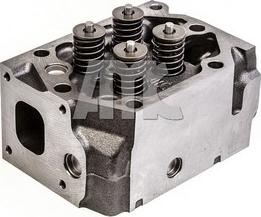 Wilmink Group WG1769422 - Головка циліндра autocars.com.ua