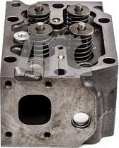 Wilmink Group WG1769423 - Головка циліндра autocars.com.ua