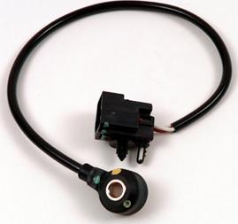 Wilmink Group WG1770276 - Датчик детонації autocars.com.ua