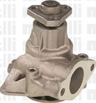 Wilmink Group WG1789902 - Водяний насос autocars.com.ua