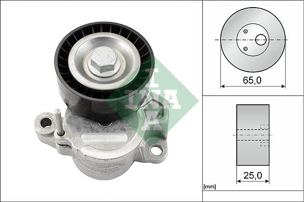 Wilmink Group WG1821131 - Натяжитель, поликлиновый ремень autodnr.net