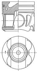 Wilmink Group WG1924753 - Поршень autodnr.net