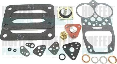 Wilmink Group WG1965840 - Ремкомплект, карбюратор autocars.com.ua