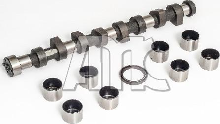 Wilmink Group WG2010617 - Комплект распредвала autocars.com.ua