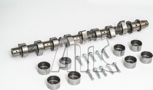 Wilmink Group WG2010618 - Комплект распредвала autocars.com.ua