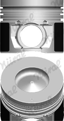 Wilmink Group WG2046428 - Поршень autocars.com.ua