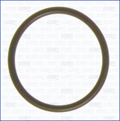 Wilmink Group WG2080616 - Кільце ущільнювача autocars.com.ua