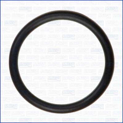 Wilmink Group WG2081016 - Кільце ущільнювача autocars.com.ua