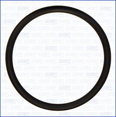 Wilmink Group WG2081018 - Кільце ущільнювача autocars.com.ua