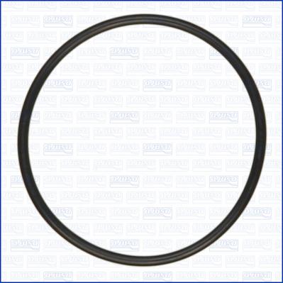 Wilmink Group WG2081019 - Кільце ущільнювача autocars.com.ua