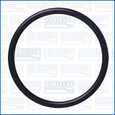 Wilmink Group WG2081095 - Кільце ущільнювача autocars.com.ua