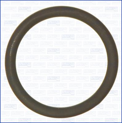 Wilmink Group WG2081216 - Кільце ущільнювача autocars.com.ua