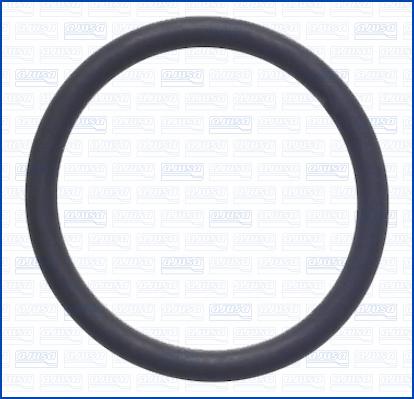 Wilmink Group WG2081359 - Кільце ущільнювача autocars.com.ua