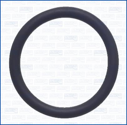 Wilmink Group WG2081361 - Кільце ущільнювача autocars.com.ua