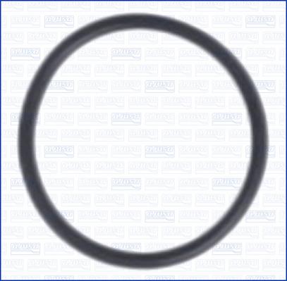 Wilmink Group WG2081523 - Кільце ущільнювача autocars.com.ua