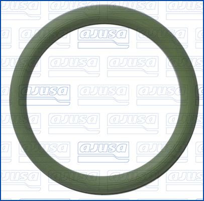 Wilmink Group WG2081549 - Кільце ущільнювача autocars.com.ua