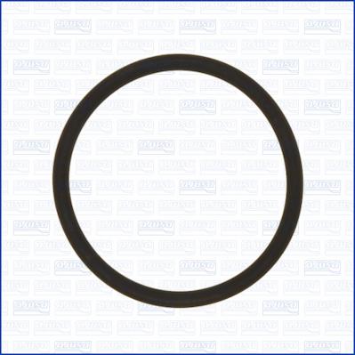 Wilmink Group WG2081774 - Кільце ущільнювача autocars.com.ua