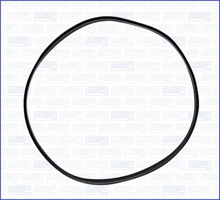 Wilmink Group WG2082677 - Прокладка, масляний радіатор autocars.com.ua