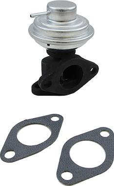 Wilmink Group WG2099619 - Клапан повернення ОГ autocars.com.ua